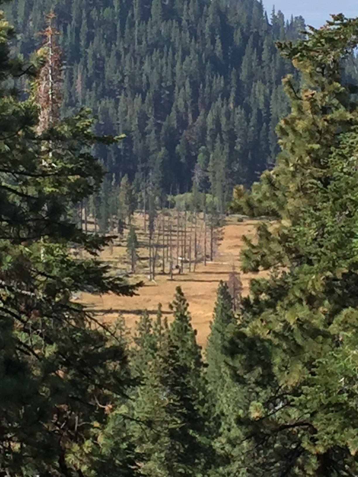 Thursday Hike to Slaughter House Canyon Sponsored by Muscle Powered Muscle Powered Nevada Events