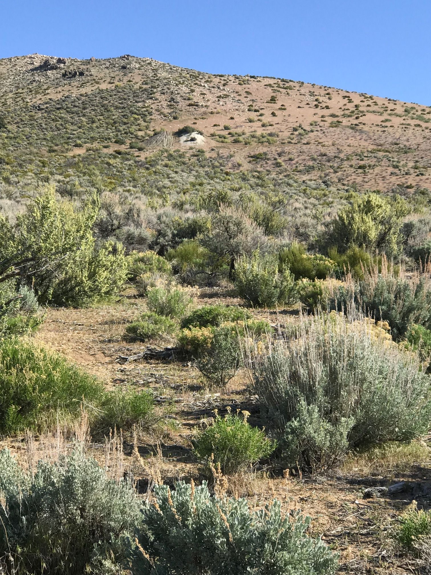 Muscle Powered Friday Morning Walk, March 6 at Conestoga Trail Muscle