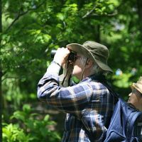 man and woman watching birds in forest