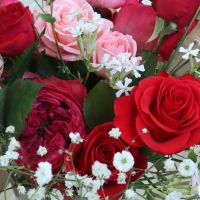 roses and carnations