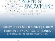 Silver & Snowflake Festival of Lights