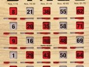 Carson City Senior Center, Thursday Afternoon Bingo