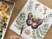 Wandering Wyld, Watercolor Butterflies: The Art of Metamorphosis