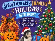 Carson City Events, Purple Avocado's Spooktacularly Thankful Holiday Open House