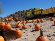 Virginia & Truckee Railroad, The Pumpkin Patch Express