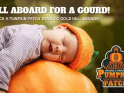 Virginia & Truckee Railroad, Pumpkin Patch Trains
