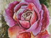 Wandering Wyld, Watercolor Roses Workshop with Astrid Carolina