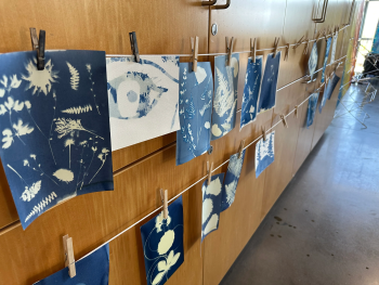 Wandering Wyld, Botanical Bandanas: An Intro to Cyanotype Printing