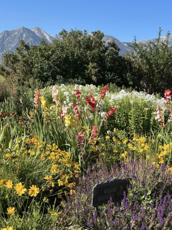 Dangberg Home Ranch Historic Park, Gertrude's Garden Day Youth and Family Event
