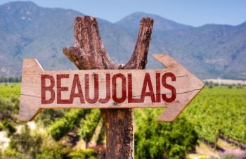 Mayer Family Wines, Thanksgiving Wine Pairing for Beaujolais Nouveau Day