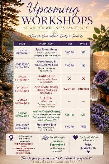 Wiley's Wellness Sanctuary, An incredible week of workshops, circles, and healing experiences