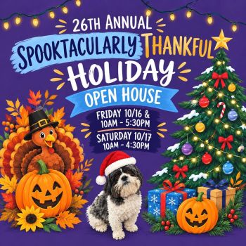 Carson City Events, Purple Avocado's Spooktacularly Thankful Holiday Open House