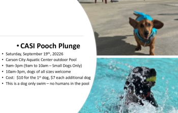 Carson Animal Services Initiative, CASI Pooch Plunge