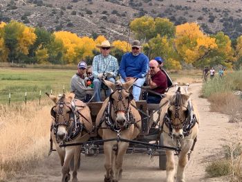 Silver Saddle Ranch, Fall Color Wagon Rides