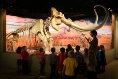 Nevada State Museum photo