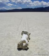 Nevada State Museum photo