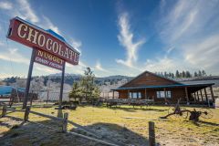 Chocolate Nugget Candy Factory photo
