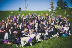 Alzheimer&#039;s Association Northern California and Northern Nevada photo