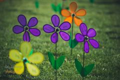 Alzheimer&#039;s Association Northern California and Northern Nevada photo