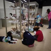 Nevada State Museum photo
