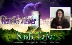 Remote Viewer