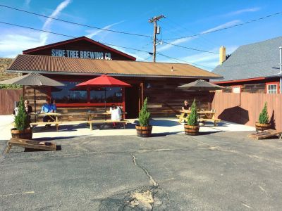 Shoe Tree Brewing Company photo