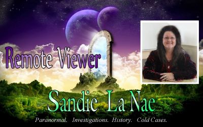 Remote Viewer