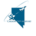 Logo for Carson City Airport