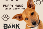 Bank Saloon, Puppy Hour