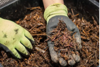 Carson City Events, Garden Talk w/ Carson City Master Gardeners