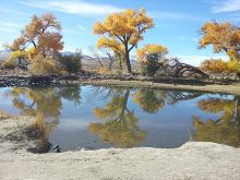carson river with fall trees