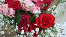 roses and carnations