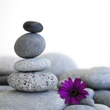 Stevenson Fine Art and Healing