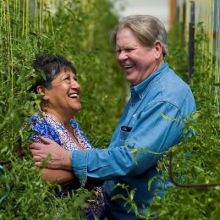 Bill & Rocky's Bella Vista Farm, LLC