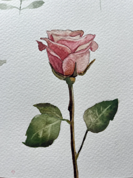 Wandering Wyld, Watercolor Series: Enchanted Botanicals