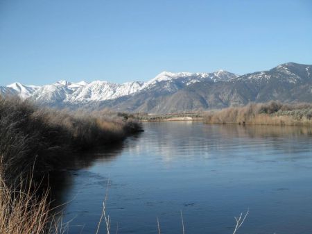 Carson Valley Trails Association, Carson Valley Trails Day