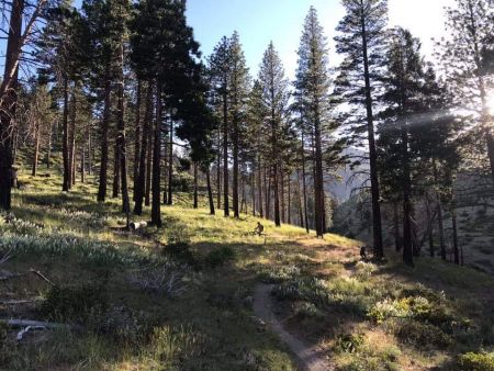 Muscle Powered, Muscle Powered Ladies MTB Ride, September 17
