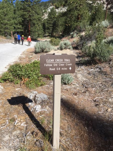 Muscle Powered, Muscle Powered Easy Hike to Upper Clear Creek Trail