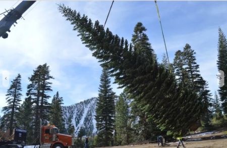 Nevada Day Inc., Silver Bell, Nevada's US Capitol Christmas Tree