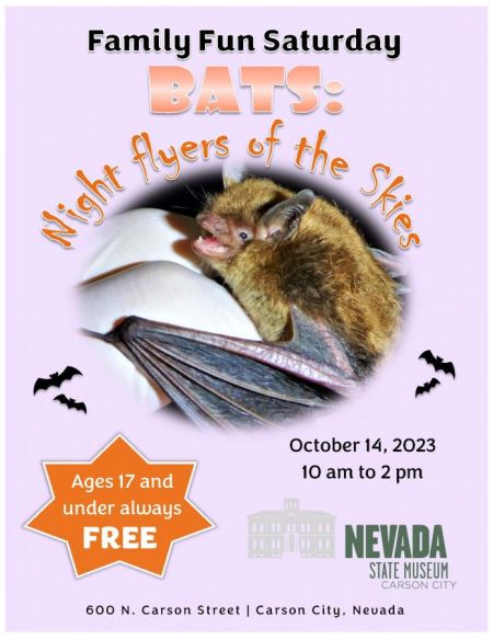 Nevada State Museum, Family Fun Saturday: Bats: Night Fliers of the Skies