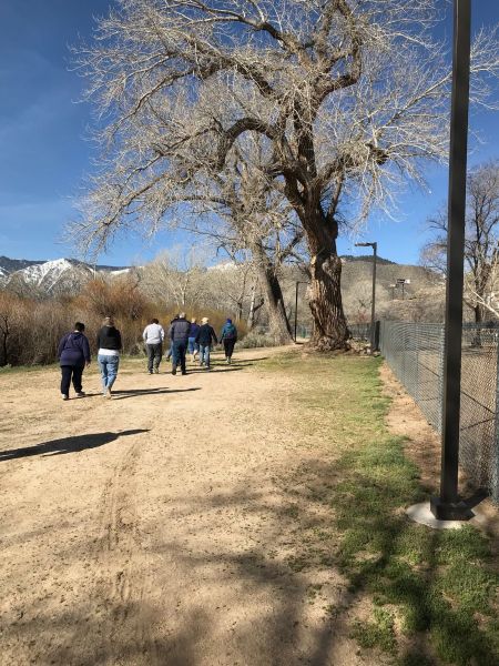 Muscle Powered, Tuesday Morning Walk - Fuji Park hosted by Muscle Powered