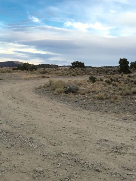 Muscle Powered, Tuesday Evening Hike to Sedge Road Sponsored by Muscle Powered