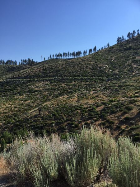 Muscle Powered, Thursday Hike to Timberline Trail Sponsored by Muscle Powered