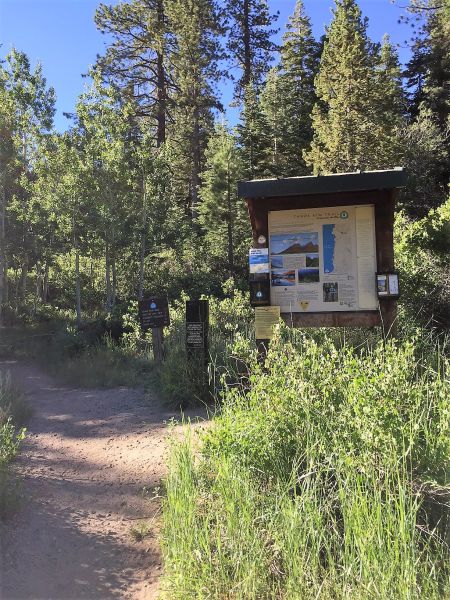 Muscle Powered, Muscle Powered Evening Conditioning Hike to Tahoe Rim Trail, Spooner Summit Trailhead