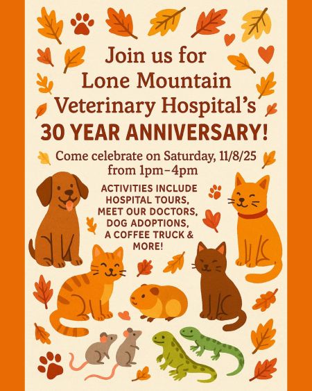 Carson City Events, Lone Mountain Vet's 30 Year Anniversary Celebration