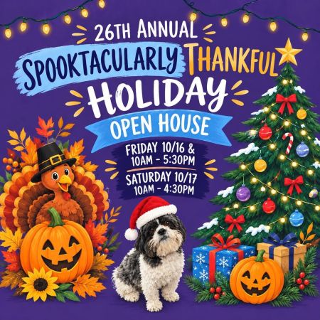 Carson City Events, Purple Avocado's Spooktacularly Thankful Holiday Open House