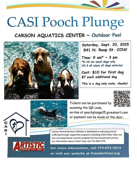 Carson Animal Services Initiative, Pooch Plunge