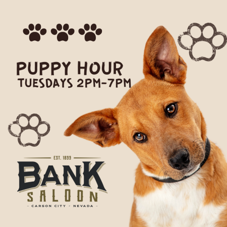 Bank Saloon, Puppy Hour