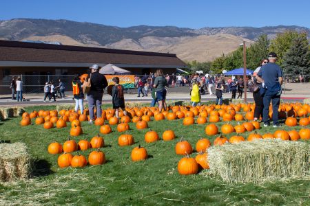 Carson City Events, 29th Annual Pumpkin Patch at Seeliger Elementary