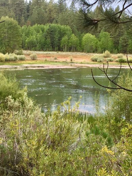 Muscle Powered, Thursday Hike to Spooner Lake Sponsored by Muscle Powered